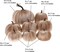 8pcs Assorted Size Fake Handmade Champagne Velvet Pumpkins Artificial Fall Harvest Halloween Decoration